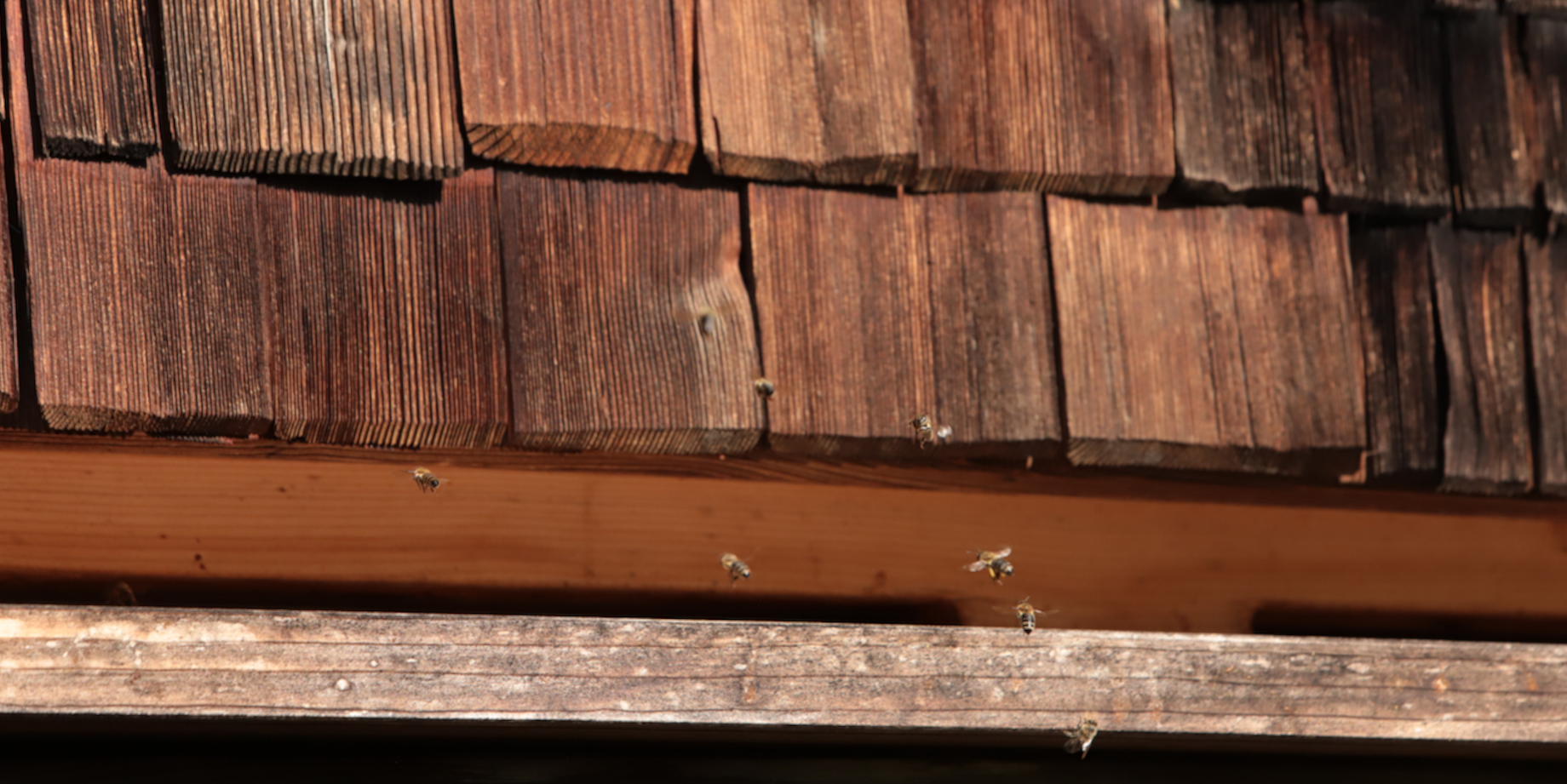 LUMA Immobilien